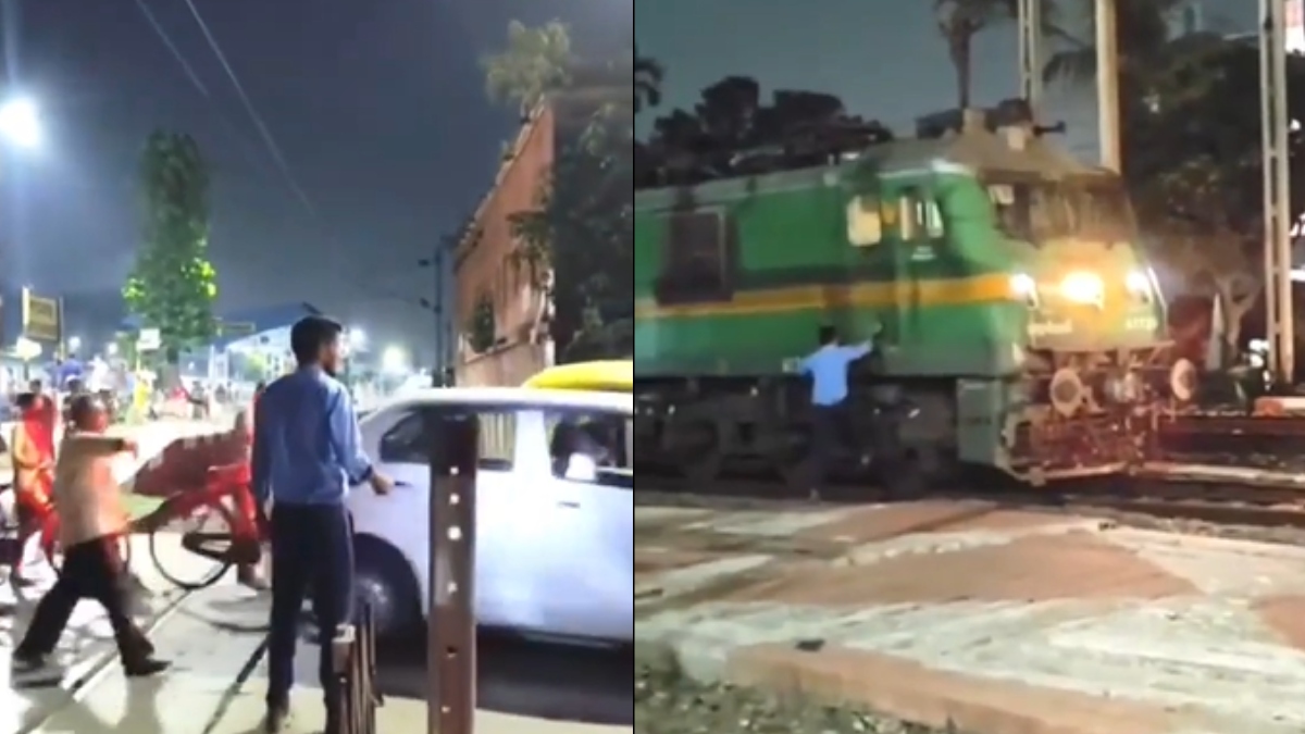 Pet owners put best paw forward with Dog Surfing Championships set for next month