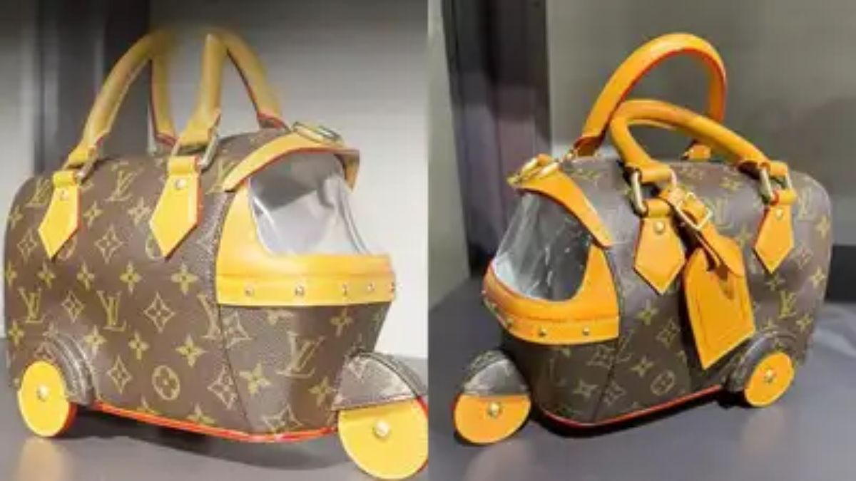 Louis Vuitton autorickshaw bag