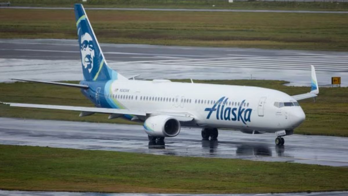 Pet owners put best paw forward with Dog Surfing Championships set for next month