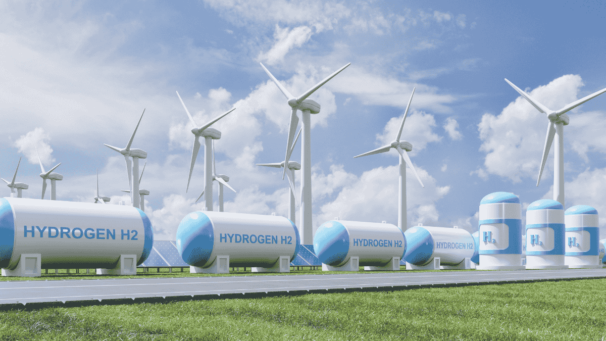 Assam halts green hydrogen policy; NTPC Green, L&T reconsider investment plans