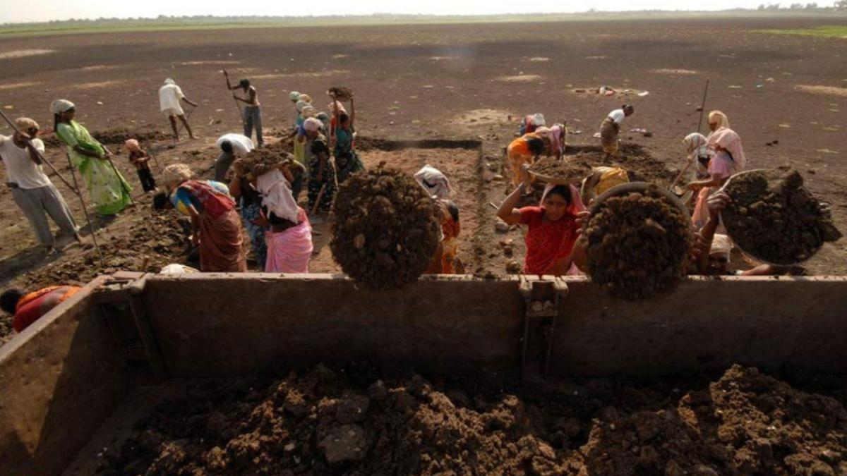 mgnrega, shivraj singh chouhan, rajya sabha question hour, rajya sabha, parliament, india news