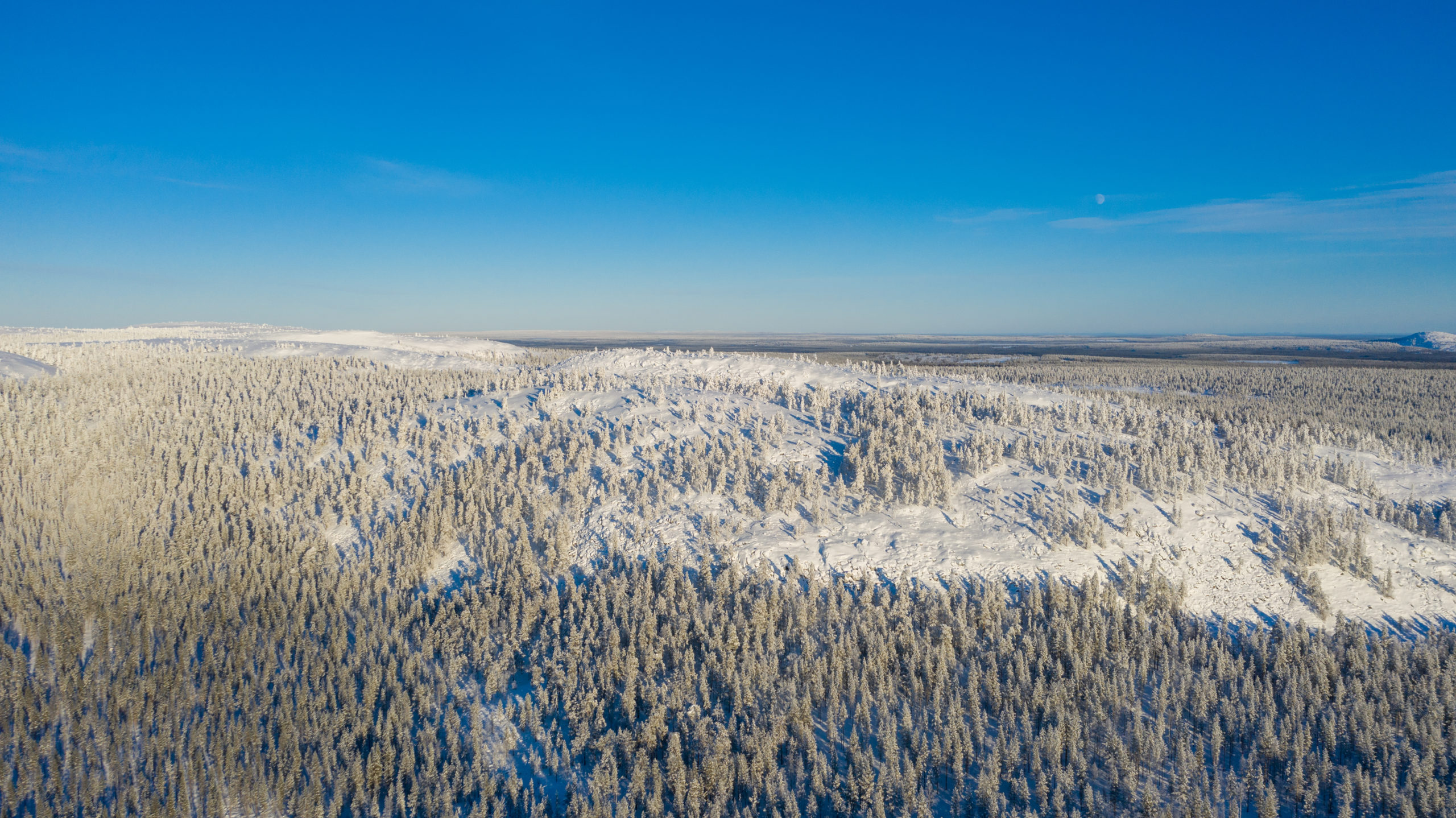 Aurion书籍在芬兰北部的高级黄金