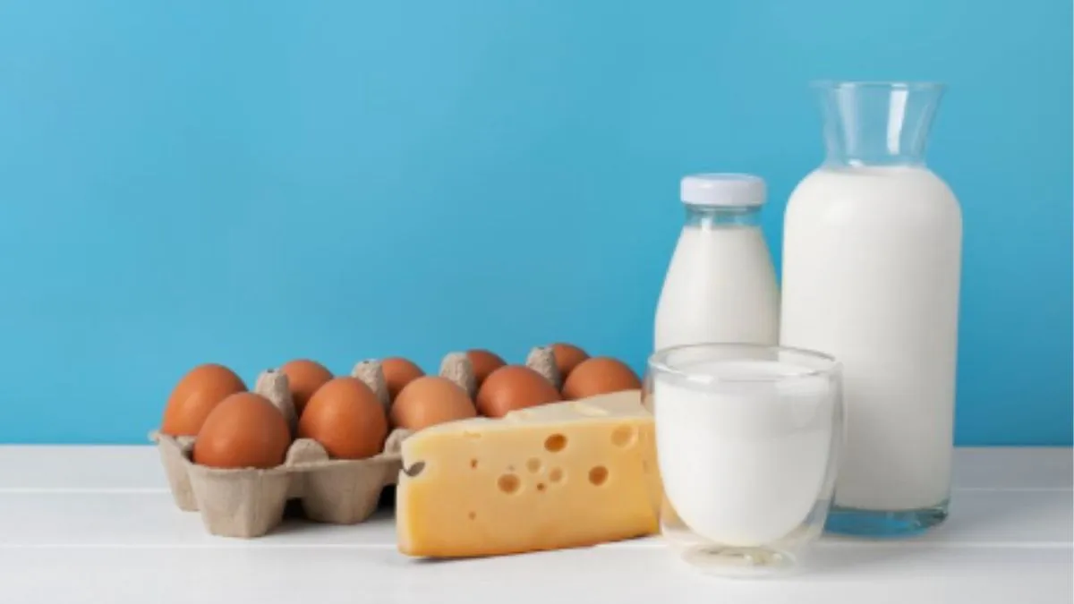 Vitamin B12 rich diet