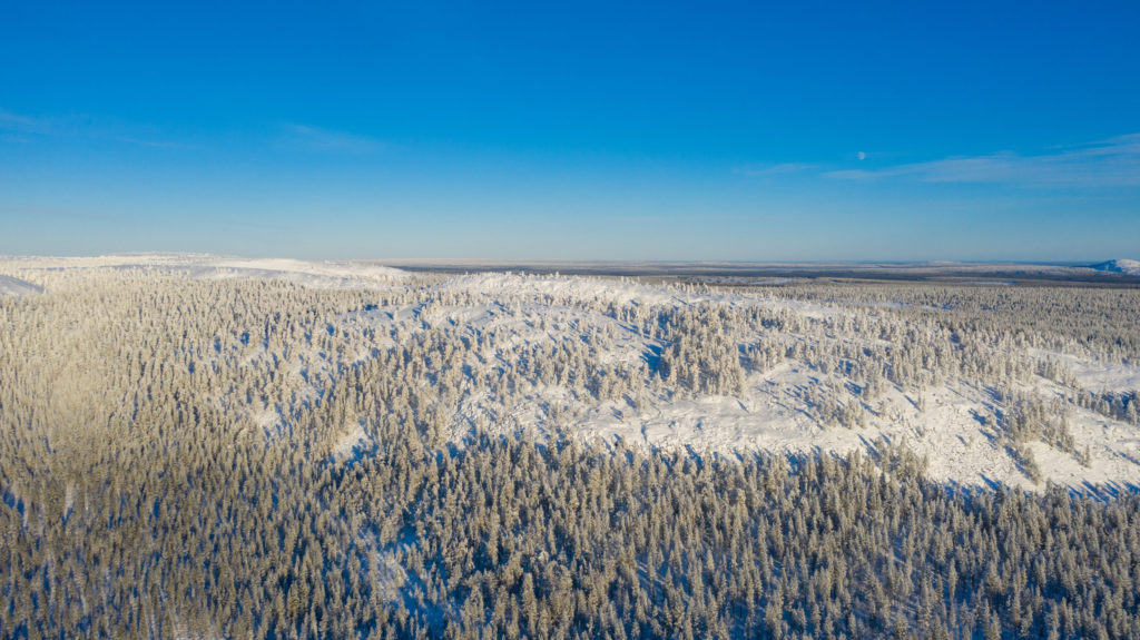 Aurion书籍在芬兰北部的高级黄金