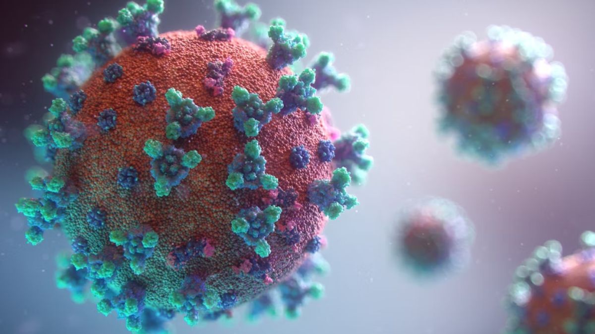 US summer covid surge