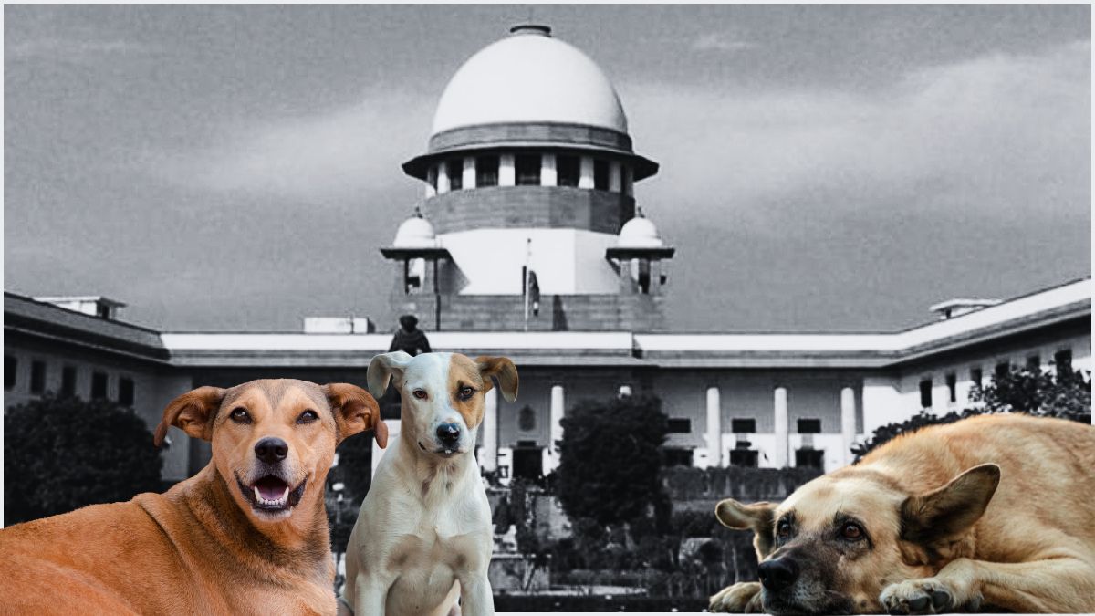 From canines to cricket: A look at India's political and social currents. (Image Source: Canva)