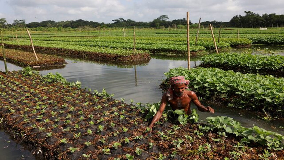 MCX Opens Futures Trading to Farmers, Expands Access to Commodity Markets. (Image Source: Reuters)