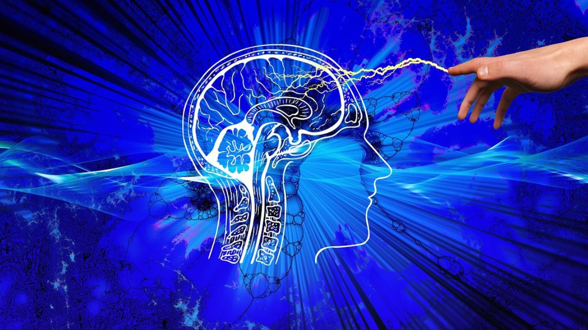 A CNS Tumor Methylation Classifier is an advanced diagnostic tool that classifies central nervous system (CNS) tumors by analyzing DNA methylation patterns