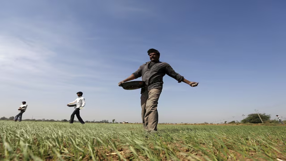 Fertilisers, economy, urea, Di-ammonia phosphate (DAP), NPK - nitrogen (N), phosphorus (P),