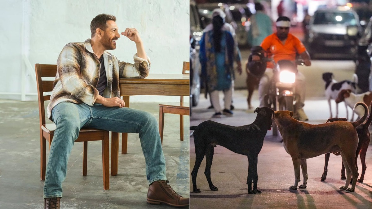 john abraham, stray dogs order, sc order, sc stray dogs order, dogs