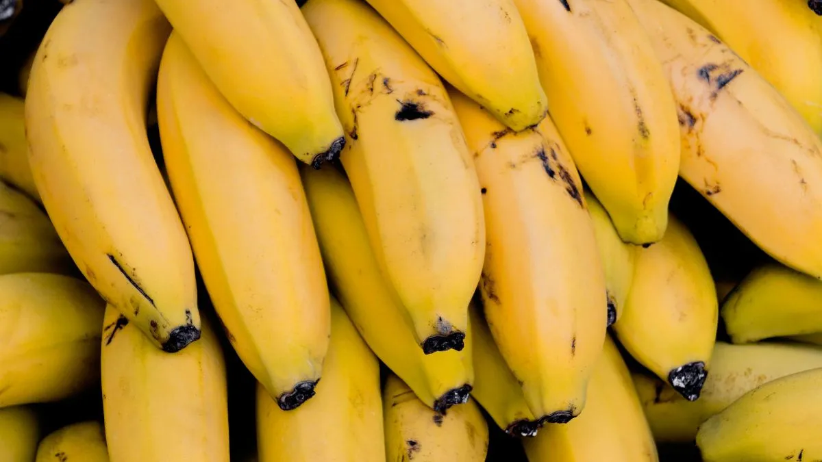 Is banana good for weight loss