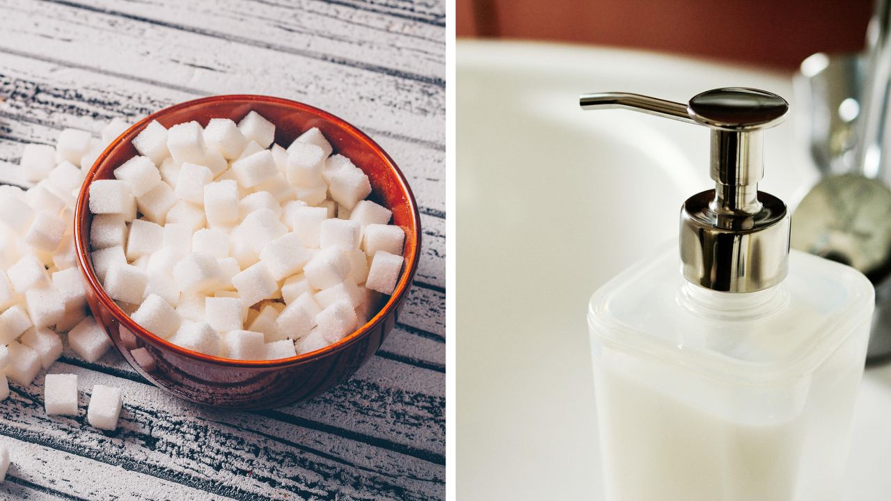 Here are 8 everyday toxins that Dr Sethi wants you to eliminate from your home immediately, to stay healthy and disease-free.