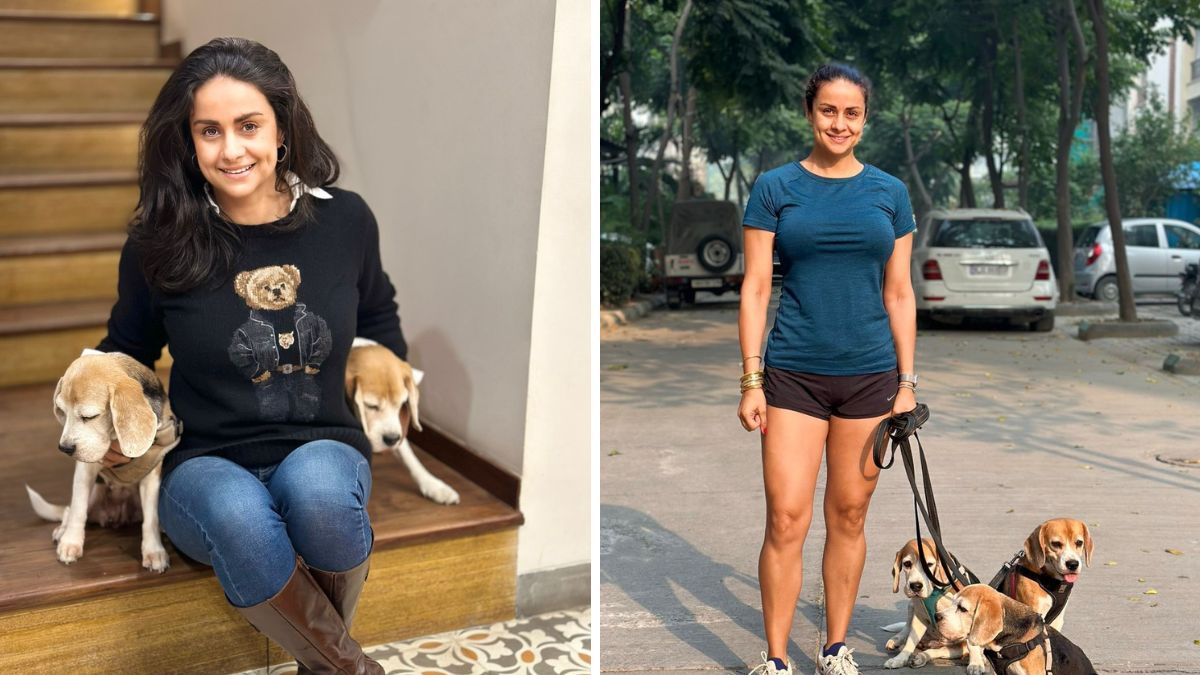 Gul Panag is a pet parent to three adorable dogs - Vegas, Gina, and Daku
