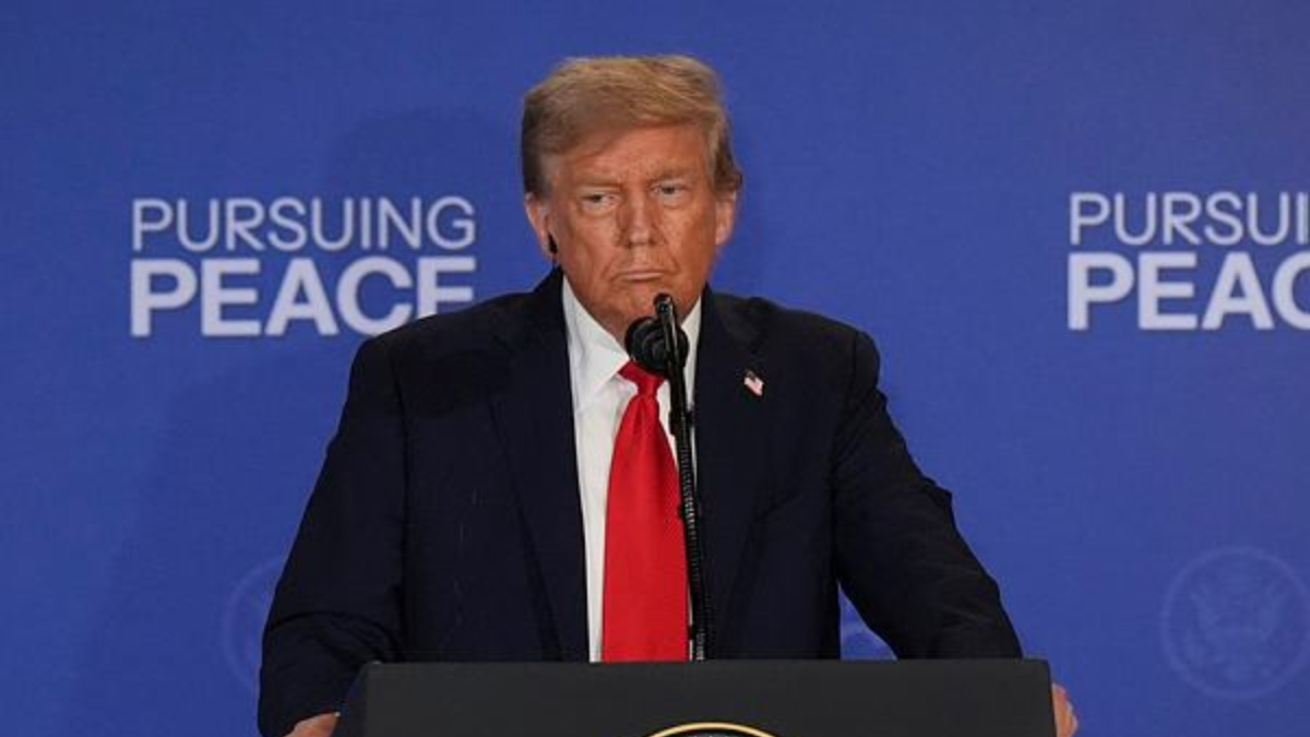 Trump, Donald Trump, Putin, Vladimir Putin, election fraud, voter fraud, Trump election rigged, trump us election fraud, trump putin summit