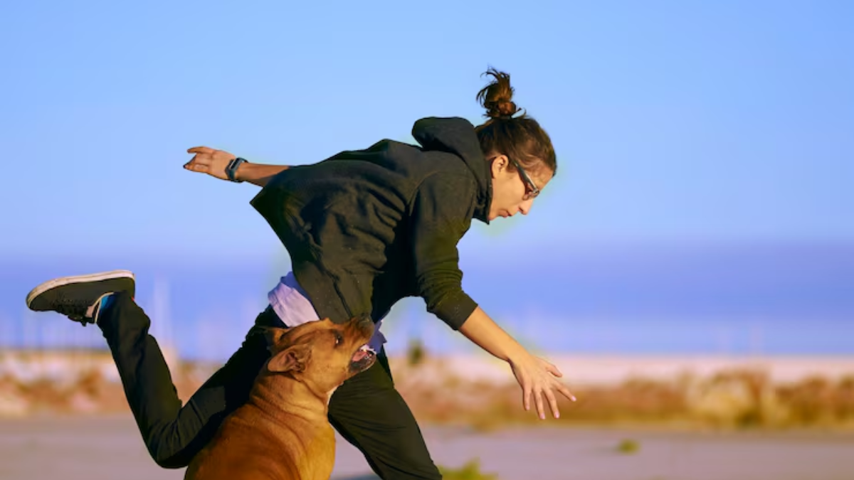 Rahul Gandhi leads Opposition’s protest march to EC; MPs detained, Akhilesh Yadav climbs over barricade – In pictures