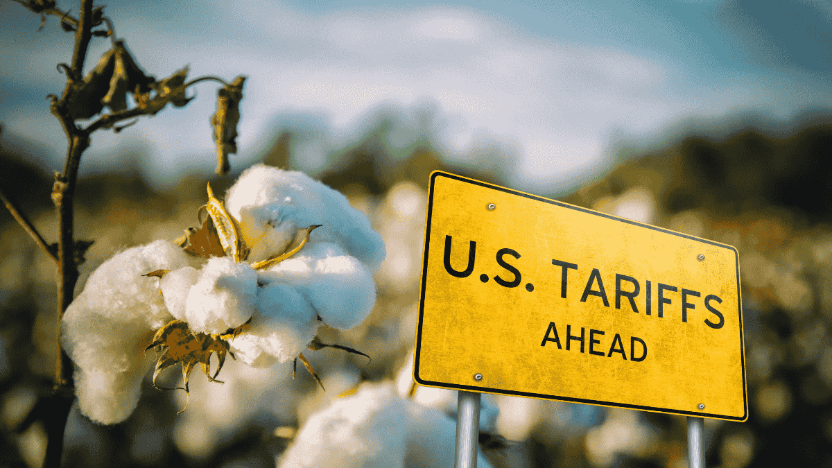 Trump tariff kicks in: From jewellery to chemicals, a look at major sectors affected by US’ 50% tariffs