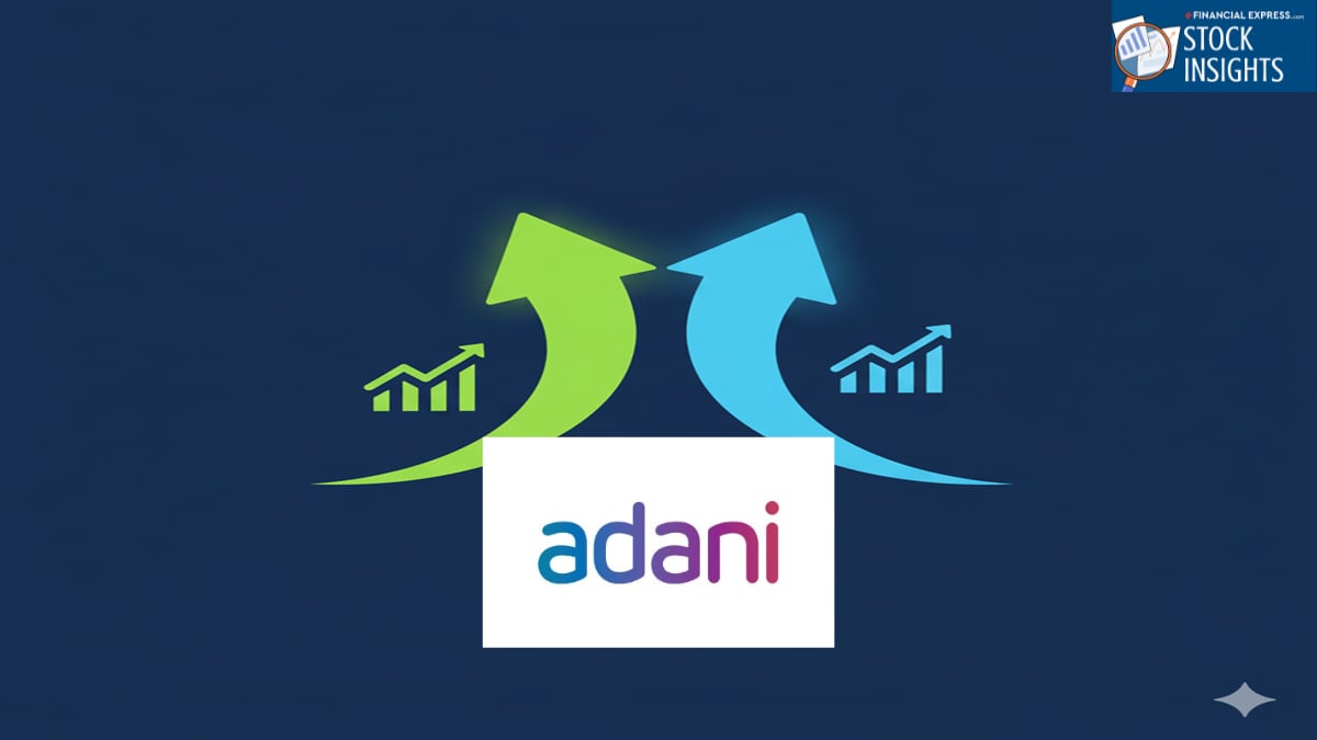 Adani Group gets a clean chit