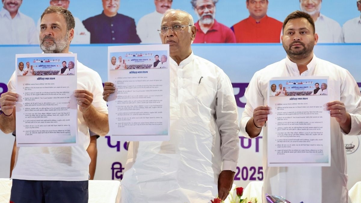 bihar election, nitish kumar, tejashwi yadav, rjd, jdu