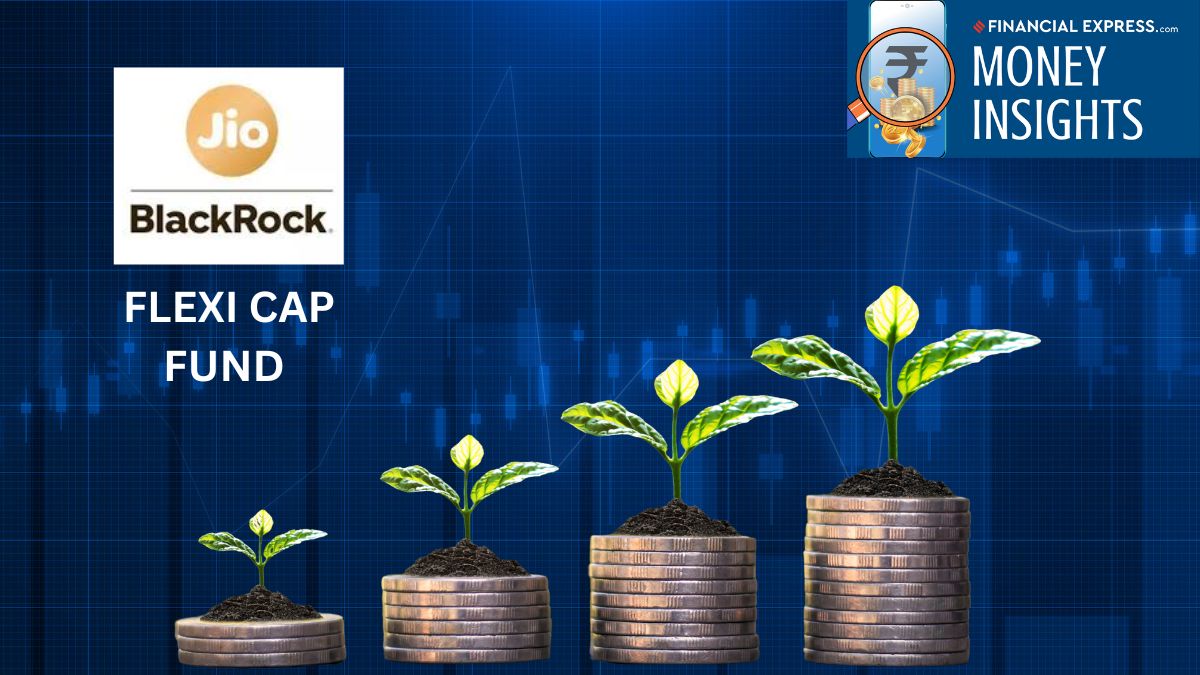 JioBlackRock Flexi Cap Fund