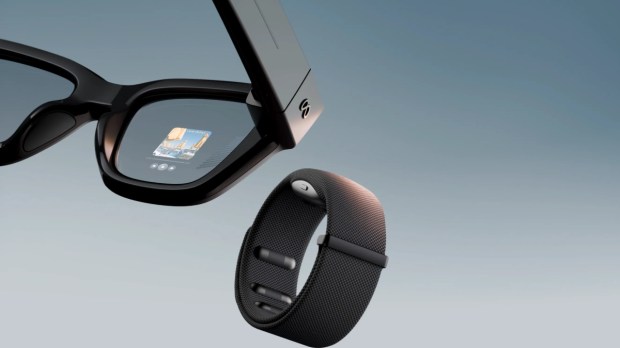 meta射线禁令显示