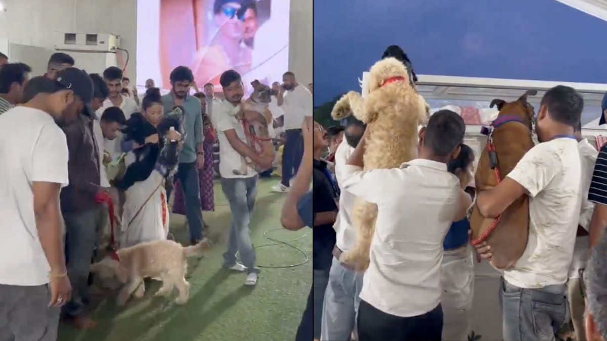 Pomp, Pageantry, and Politics: King Charles’ royal state banquet for Trump – In Photos