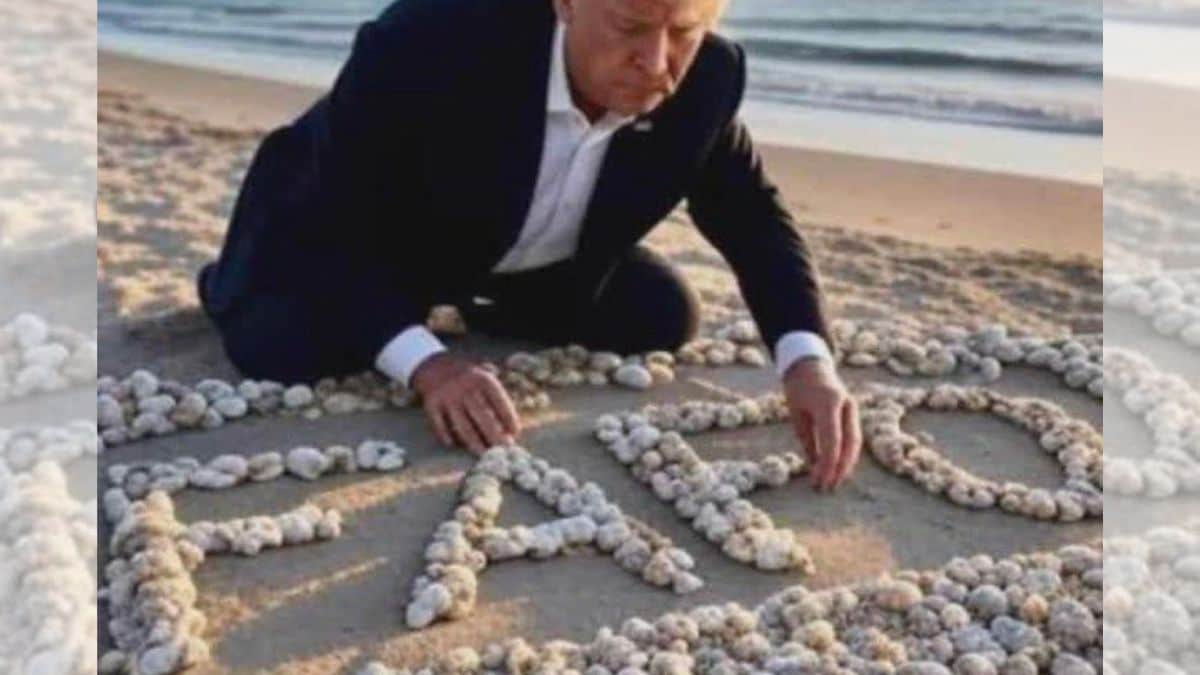 Elon Musk dig at James Comey