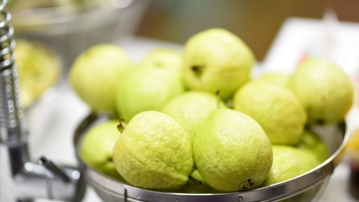 A latest study has discovered another lesser-known benefit of eating guava every day - protection from liver cancer.