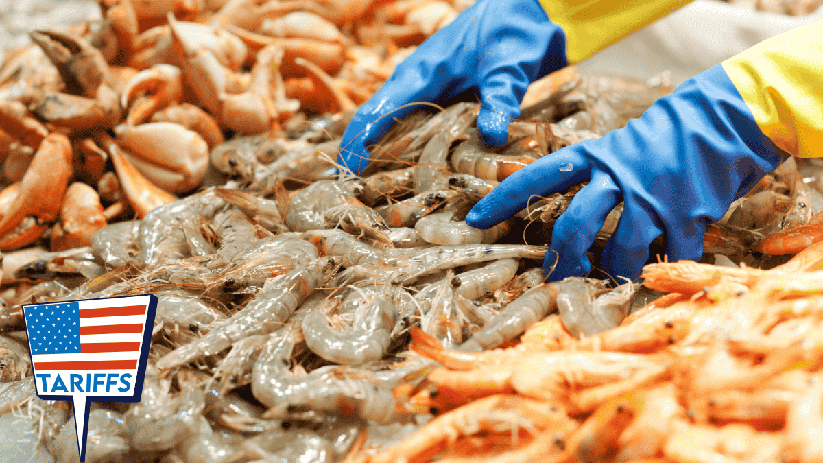 Andhra Pradesh faces Rs 25,000 crore loss in shrimp exports due to US tariffs