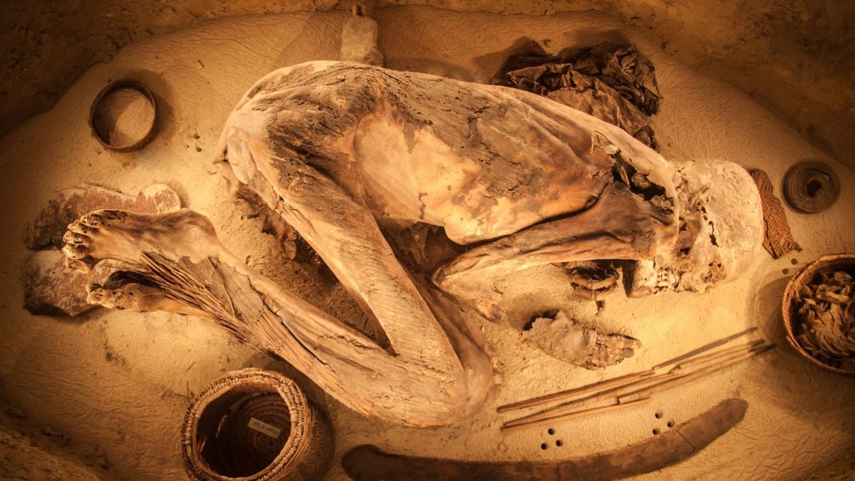 Two 7,000 year old mummies were discovered in the Sahara desert and scientists discovered something shocking about them. (Image source: Canva)