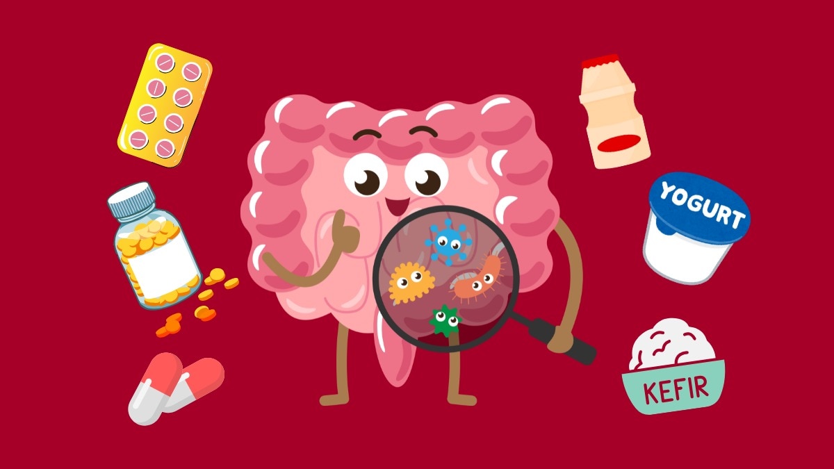 The category spans probiotics, prebiotics, synbiotics, and functional foods that promise benefits such as relief from acidity, bloating, constipation, and irritable bowel syndrome (IBS), while also supporting immunity, nutrient absorption, and holistic well-being through the gut-brain axis.