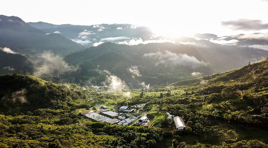 索尔戈尔德（Solgold