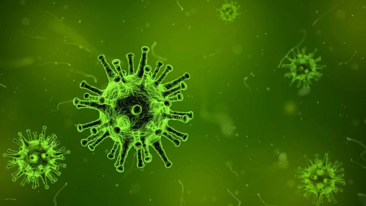 drug resistant bacteria