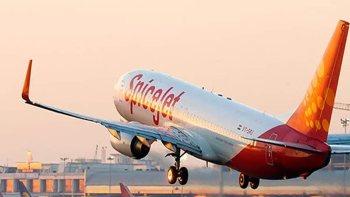 SpiceJet share price today, September 09