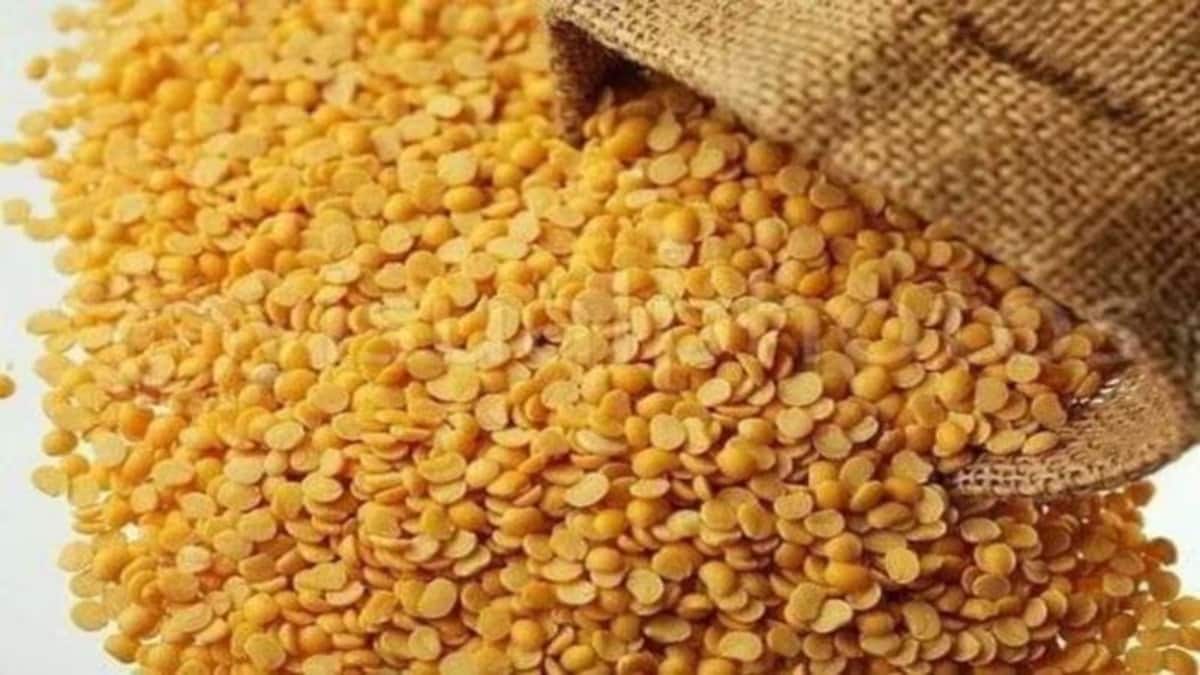 CACP Urges Ban on Yellow Peas Import, Higher Duties to Protect Farmers.