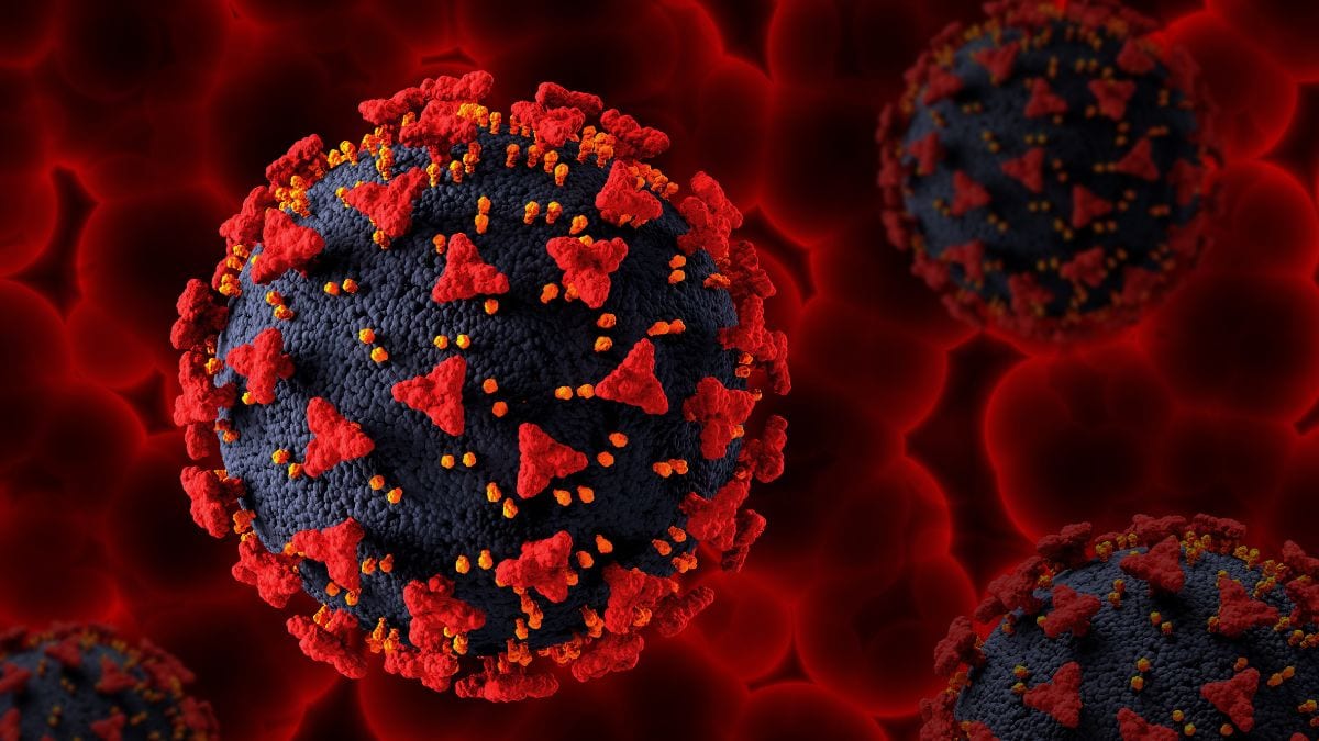 Covid-19 new variant