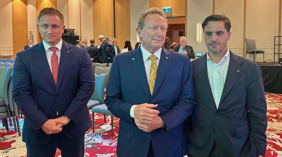 Fortescue’s Forrest doesn’t get the hype over critical minerals