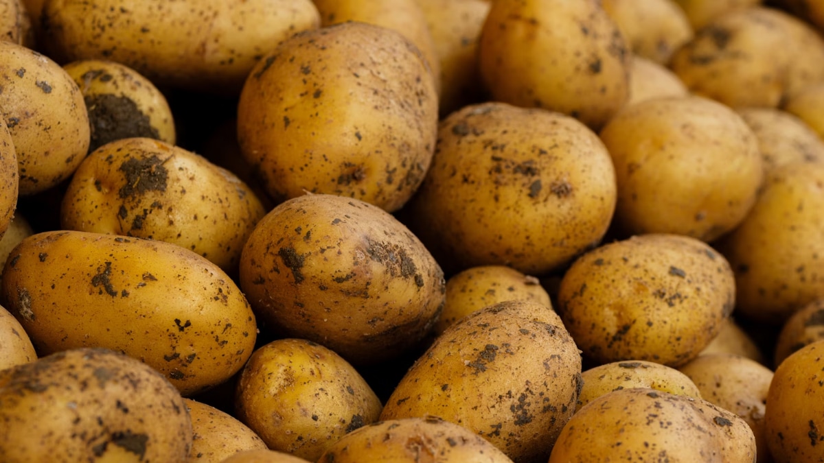 “Nearly 80 per cent of shipments go to Malaysia, the Philippines, Indonesia, Japan, and Thailand, reflecting India’s integration into Southeast Asia’s snack and convenience-food supply chain,” Ajay Srivastav, founder of GTRI, said.