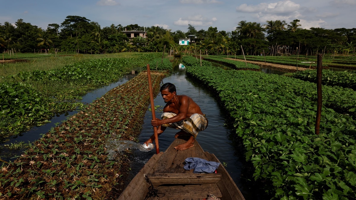 farming, fertilisers, soil health, farmers, natural farming, economy