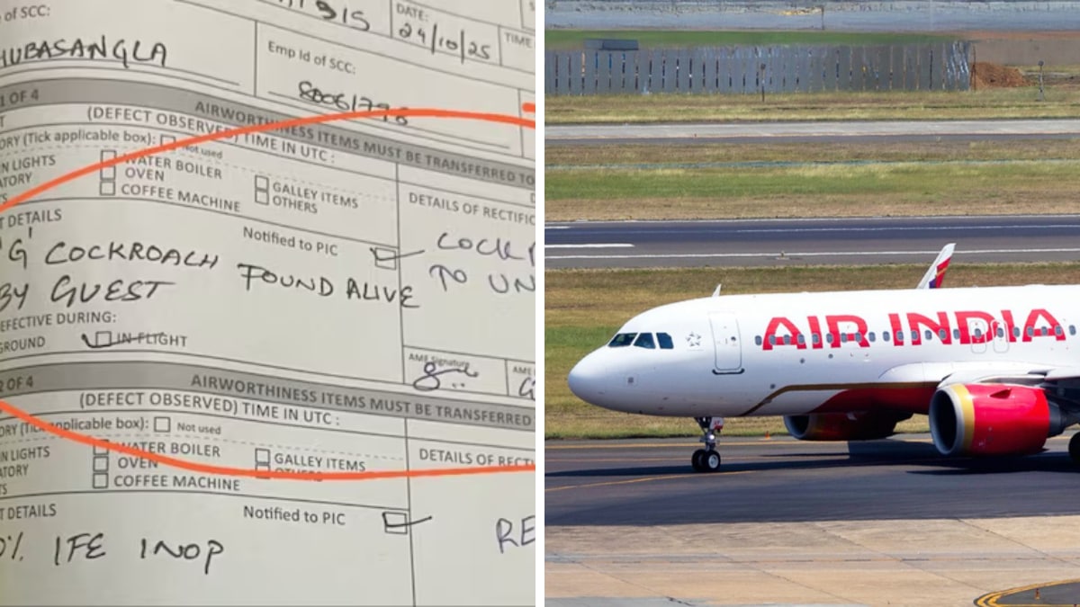 Air India logbook viral: ‘Cockroach hanged until death’ entry sparks internet reactions