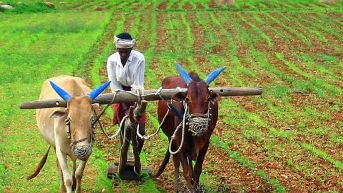 At present 29 states, with the exception of West Bengal and few UTs, have signed MoUs or Agri-Stack implementation.