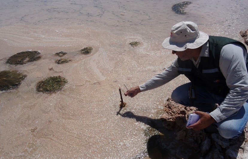 智利罚款违反锂提取的阿尔伯马尔