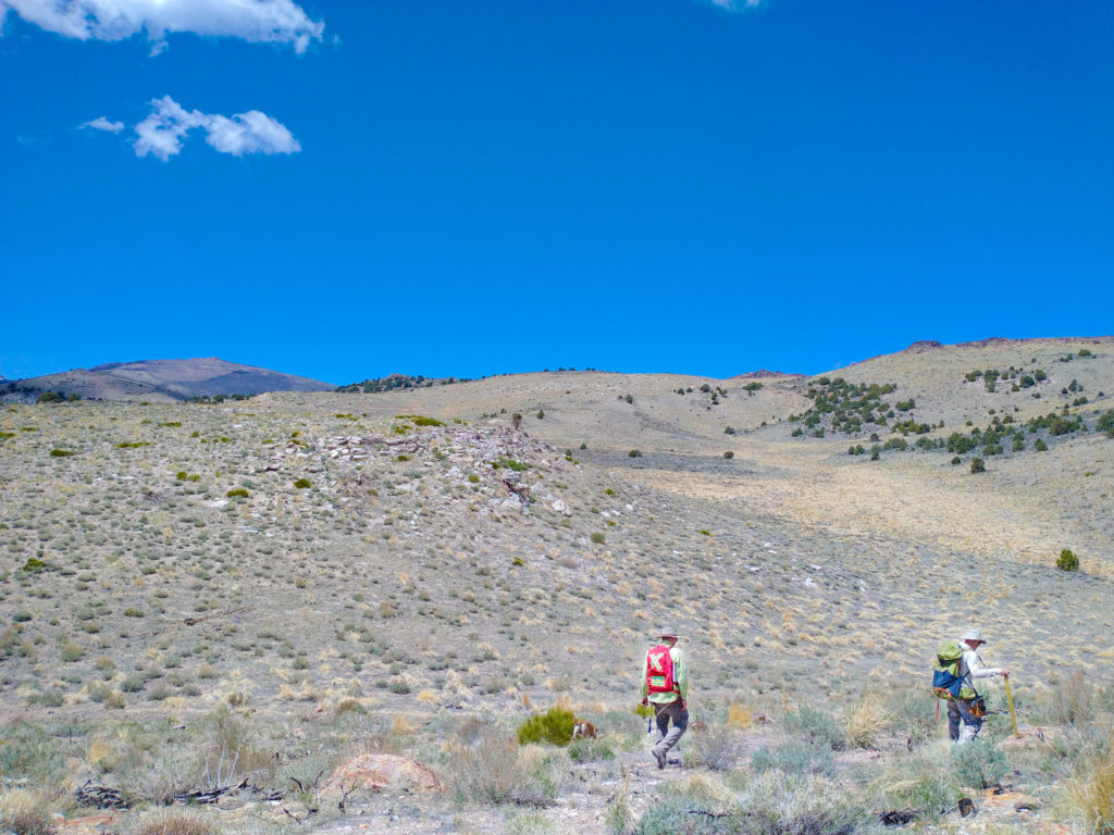 纽蒙特资助的内华达金矿项目获选获得 FAST-41 许可