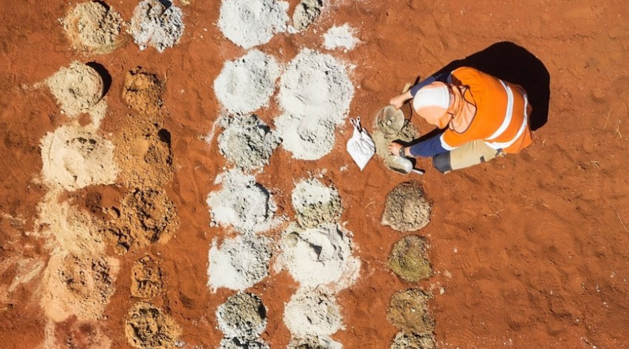 尽管价格创历史新高,北极星公司的黄金销量仍下降