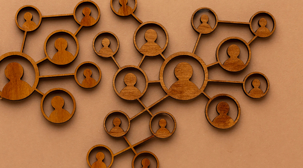 “菌丝体”组织：从蘑菇中汲取灵感，制定有弹性且相互关联的战略