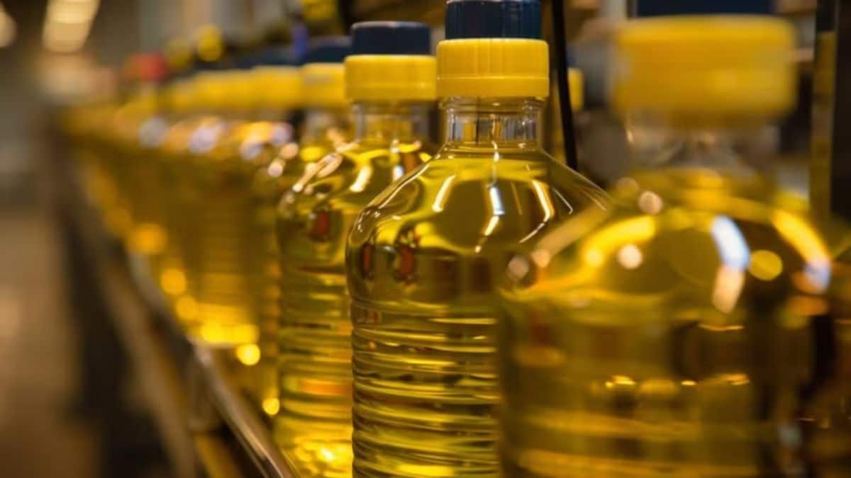 While recommending diversification of imports of palm oils to Argentina and African countries, the report stated India remains vulnerable to global shocks, currency fluctuations, and supply chain disruptions.