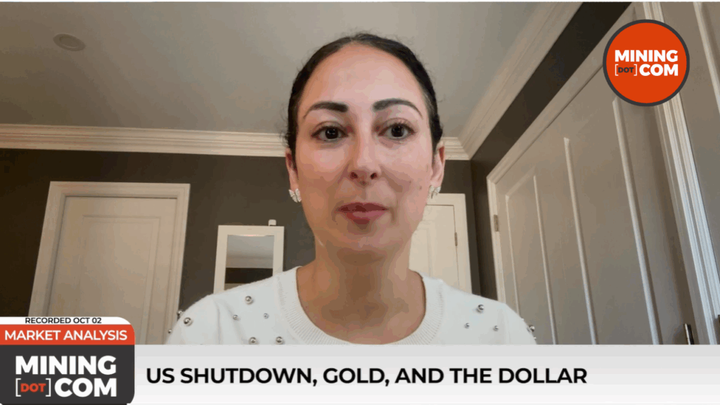 采矿指标：美国关闭，黄金 - 纽黑文资产管理