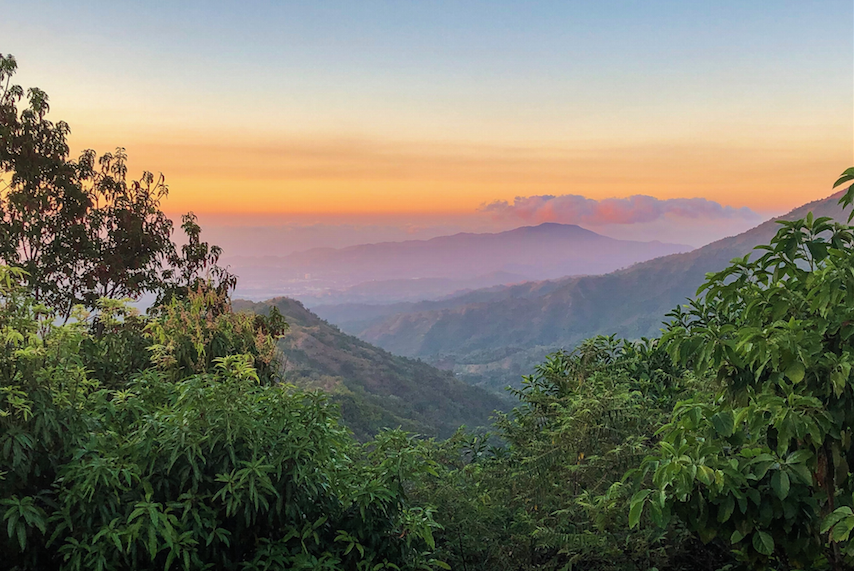投资者与国家之间的资源纠纷创10年来新高