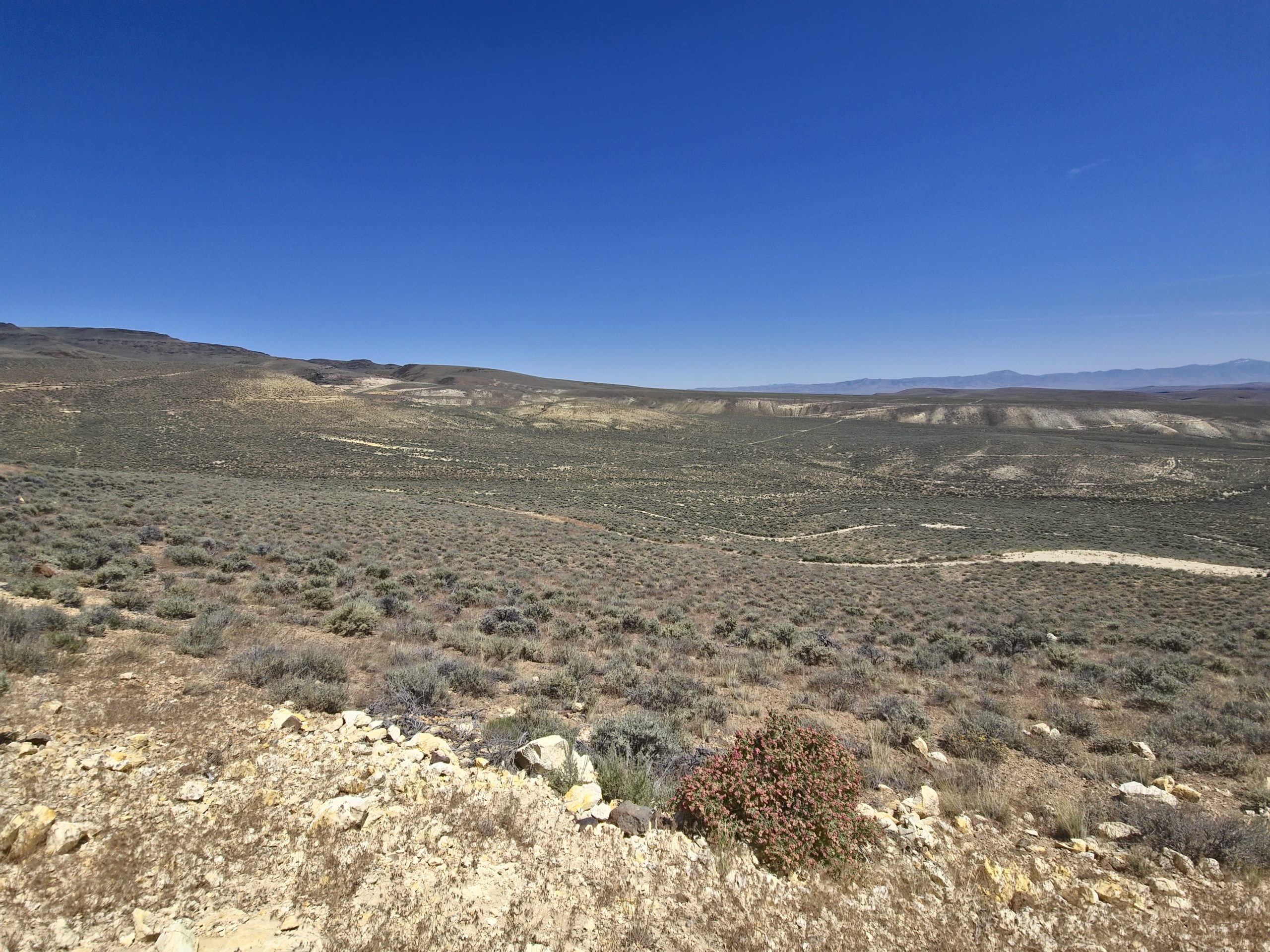 Eagle Energy Metals 报告 Aurora 铀项目取得积极的冶金成果