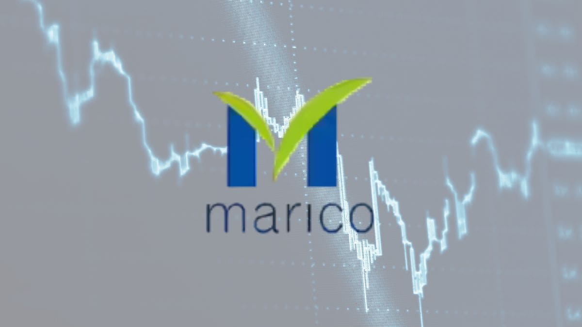 FMCG major Marico reported a 0.7 per cent YoY profit decline in Q2 FY26