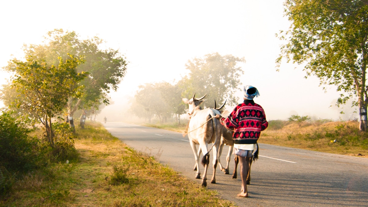 FE Google Preferred Button